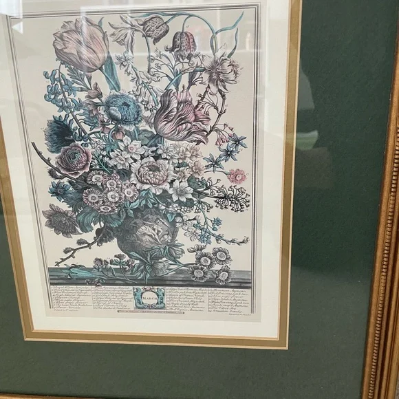 2 Framed Matted Vintage Floral Flower Botanical Bouquet Prints Litho Robert Furb - Picture 11 of 14